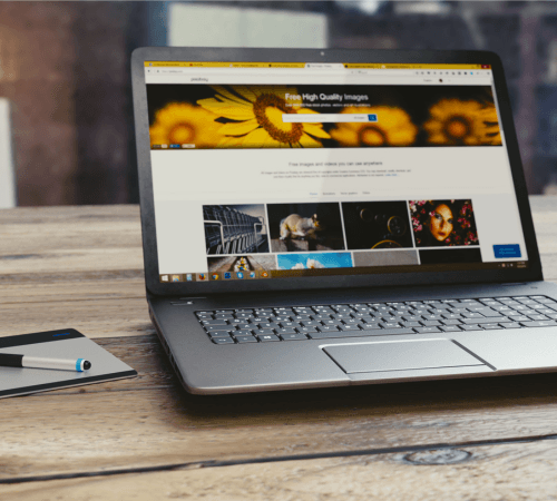 Custom Web Development Services in Netherland