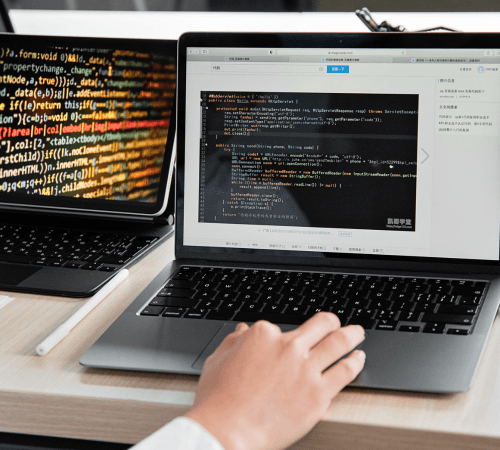 Custom Web Development Services in Turkey