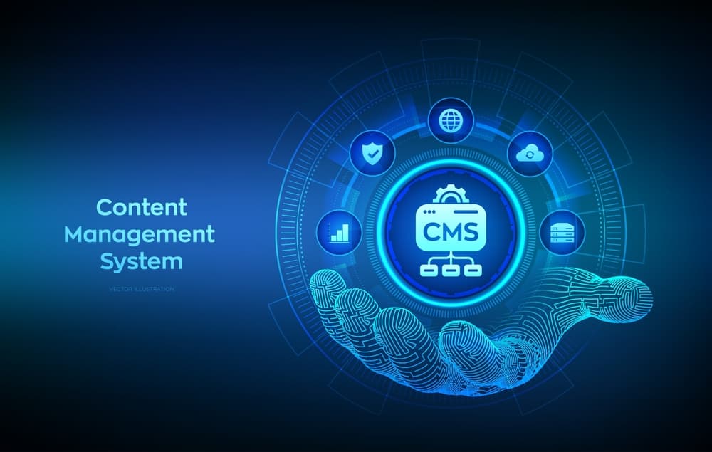Custom CMS Development Services