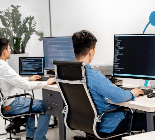 Custom Web Development Services in Iraq