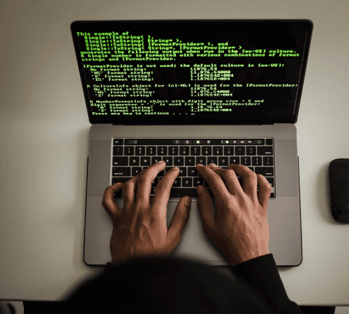 Custom Web Development Services in UAE