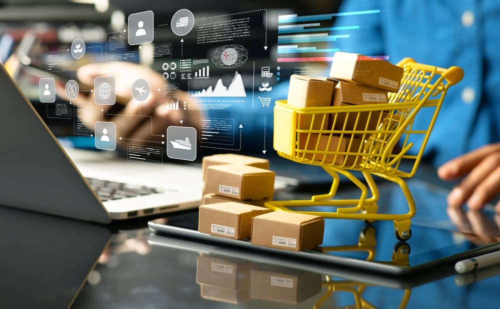 Custom E-commerce Development Services