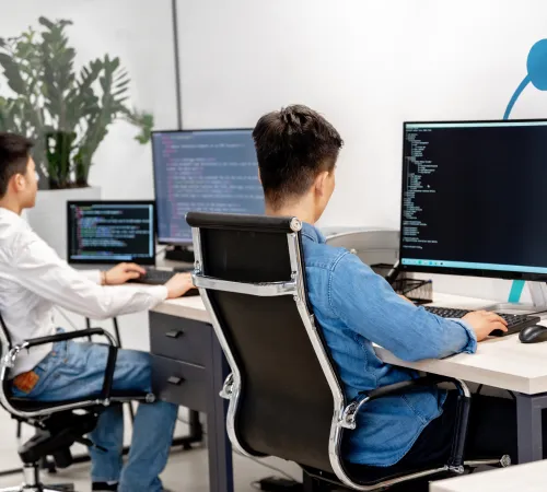 Custom Web Development Services in Iraq