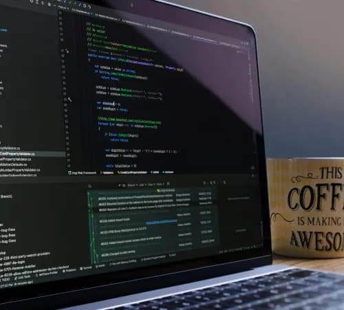 Magento Development Services in Turkey