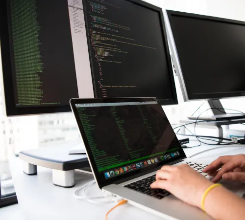 Custom Web Development Services in Egypt