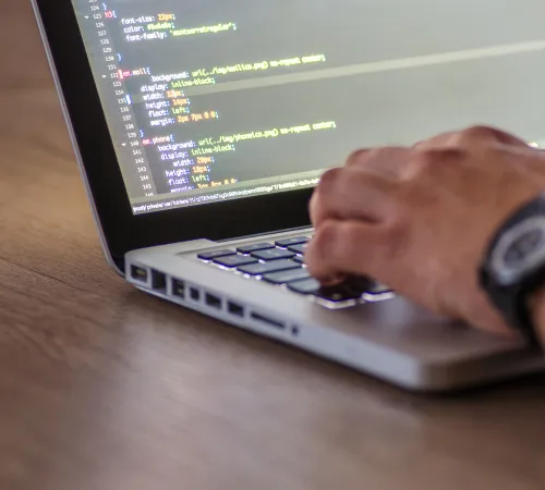 Custom Web Development Services in Netherland