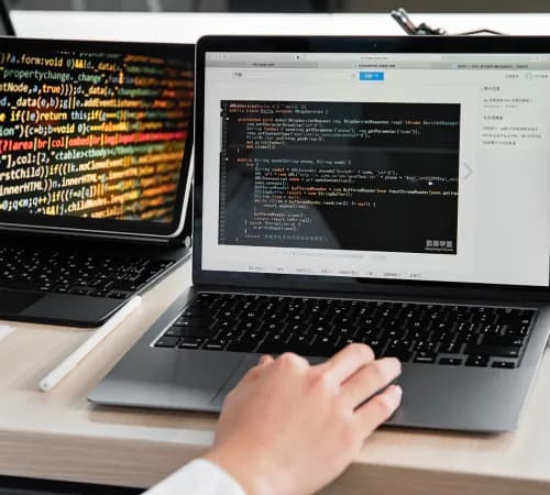 Custom Web Development Services in Turkey