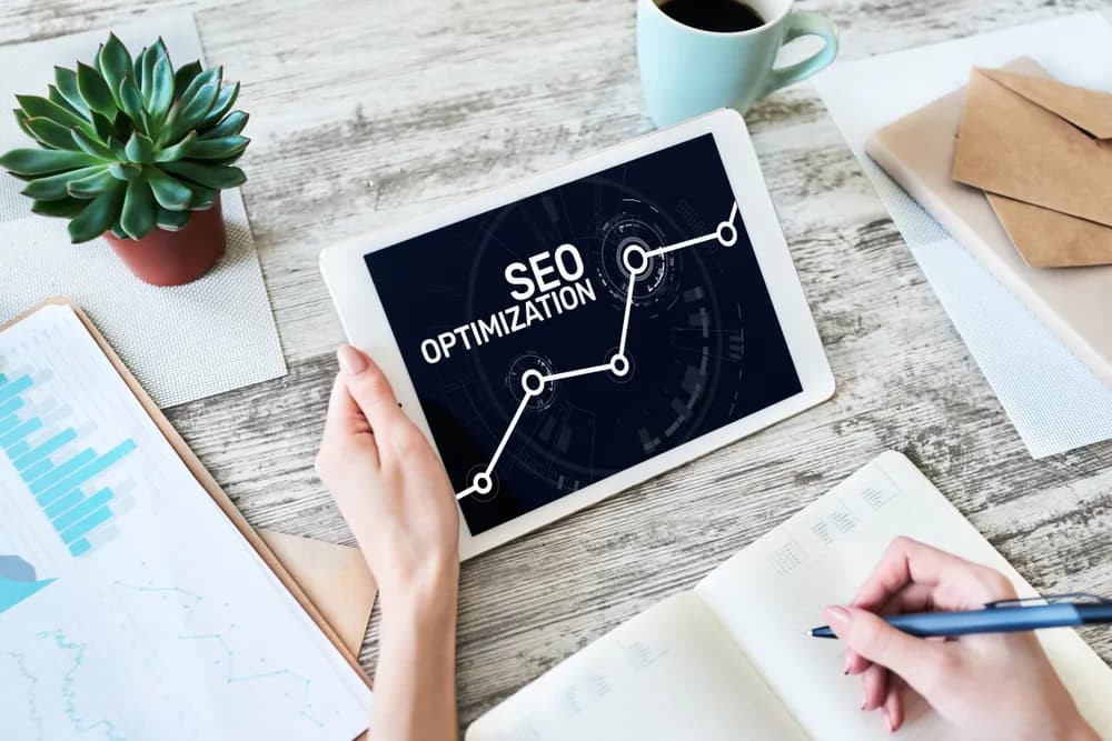 Search Engine Optimization (SEO) in Netherland